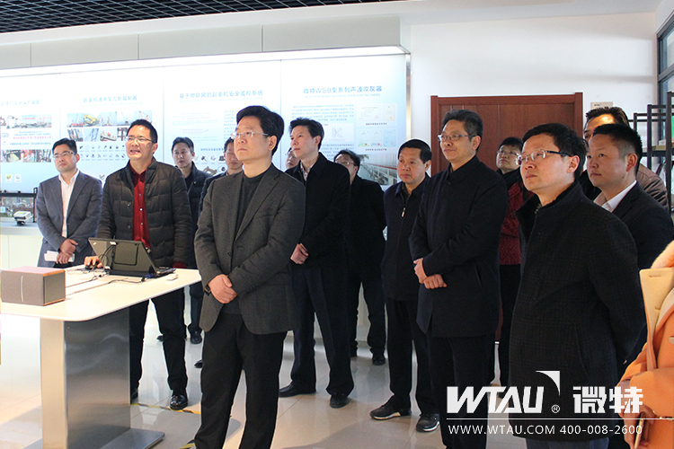 市委常委、組織部長汪偉來微特調(diào)研